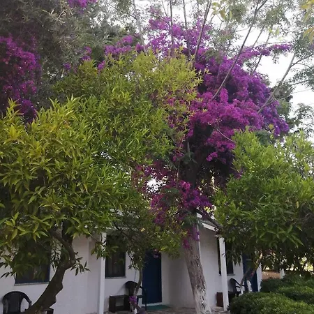 Myndos Otel Bodrum